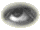 eye.gif (6836 bytes)